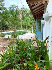 Villa elevation & gardens